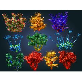 3D Coral reef plants Animated Pack 10